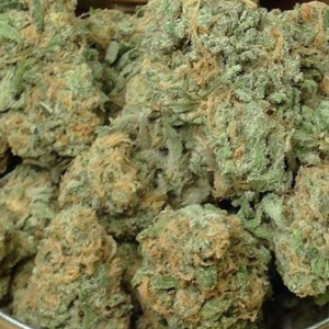 Buy Blue Dream Strain Europe