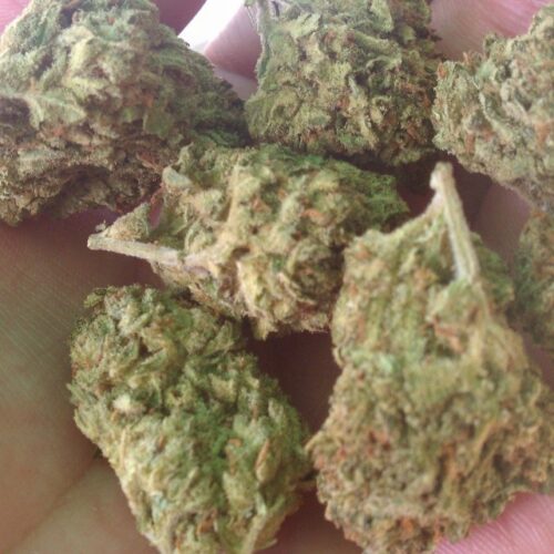 Green Afgooey Kush