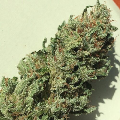 buy holy grail kush online buy quality marijuan online order weed from cali best online cannabis shop buy exotic carts online