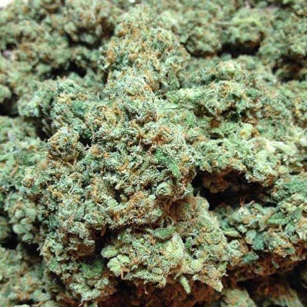 Buy kerala kush online buy dankvapes online where to buy cereal carts europe buy banana kush online buy white widow online