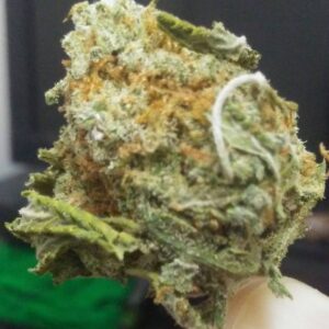 Buy The White Jones Strain Europe