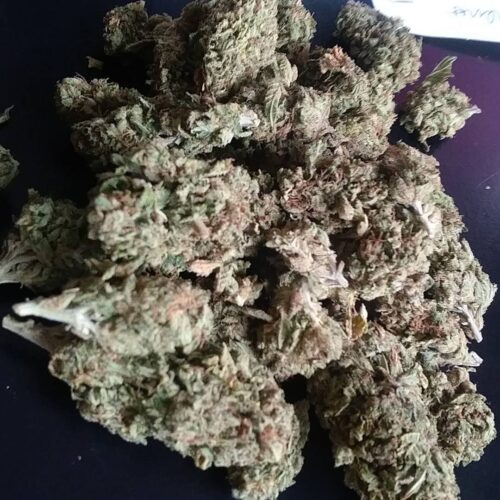 buy banana kush online - weed for sale online Switzerland - order marijuana online-get marijuana online-buy cannabis Belgium