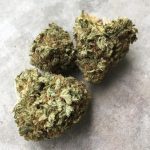 buy g13 kush online 420 mail order poland buy quality weed online buy quality hash online legit marijuana dispensary online