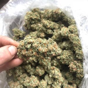 Buy Durban Poison Strain Online Europe Buy Durban Poison Strain Online Australia Durban Poison Strain For Sale Europe Buy Durban Poison AU