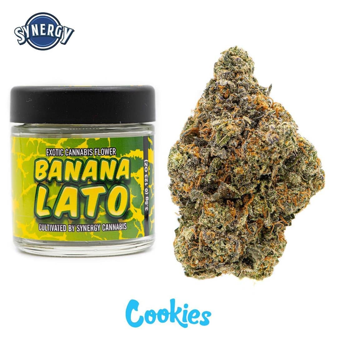 Buy Banana Lato Strain Online Buy Banana Lato Marijuana Banana Lato Marijuana Strain