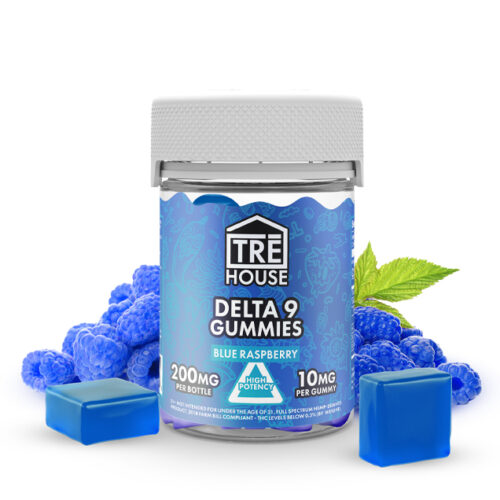 buy Blue Raspberry Delta 9 THC Gummies