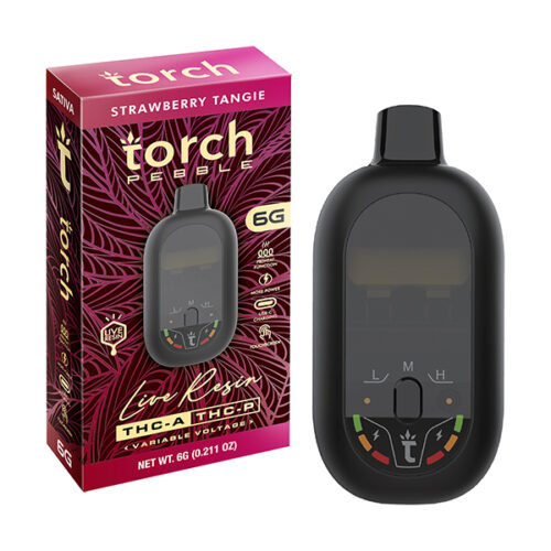 Torch Pebble Live Resin Disposable 6g