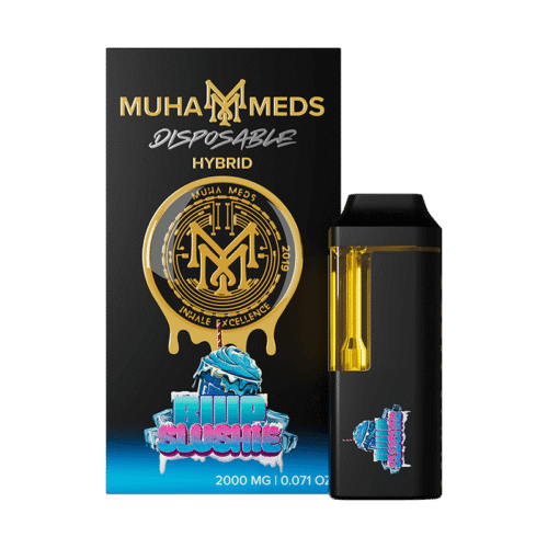 Buy Blue Slushie THC Disposable vape in Europe